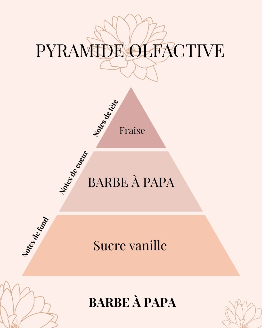 Pyramide Olfactive Barbe à papa - Parfums d'intérieur - Niõ