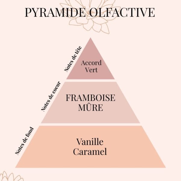 Pyramide Olfactive Framboise Sauvage - parfums d'intérieur - Niõ Fondants parfumés Framboise sauvage | Reine des Parfums fruités
