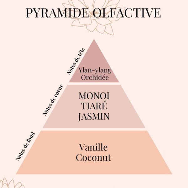 Pyramide Olfactive Monoi des îles - parfums d'intérieur - Niõ Fondants parfumés Monoï des Îles | Un parfum tropical chez vous