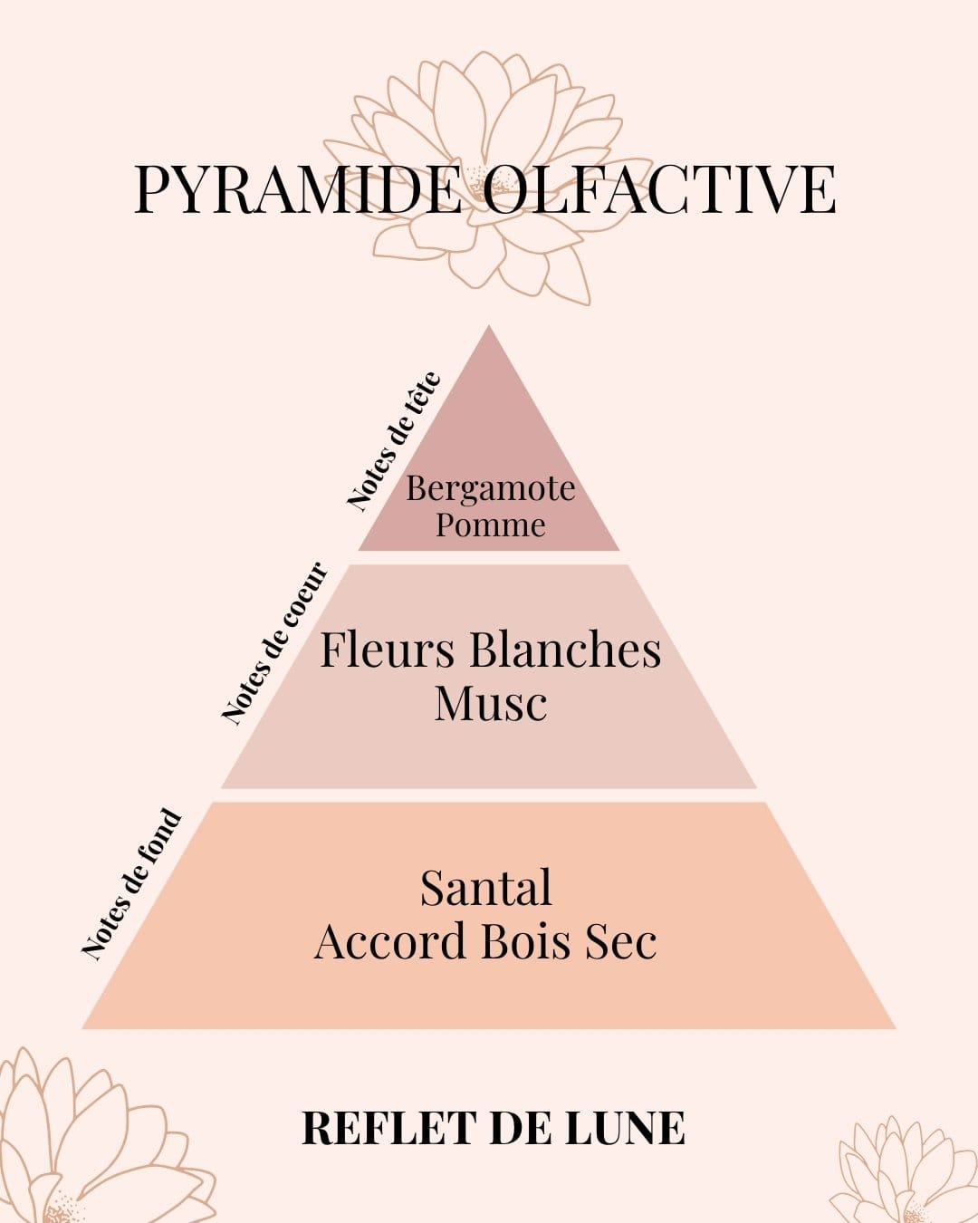 Pyramide Olfactive Clémentine-Monoï - parfums d'intérieur - Niõ