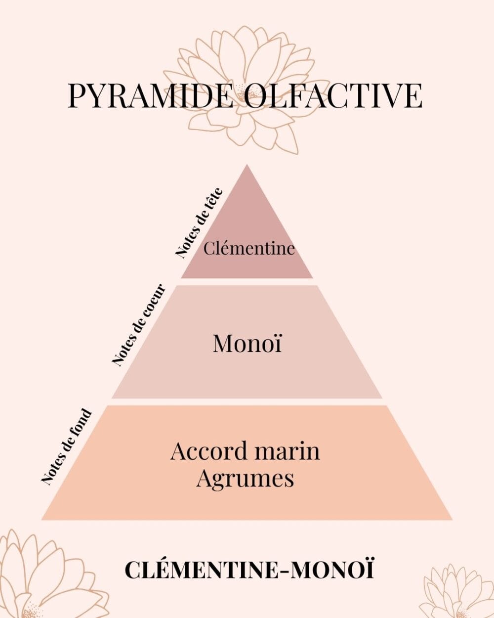 Pyramide Olfactive Clémentine-Monoï - parfums d'intérieur - Niõ
