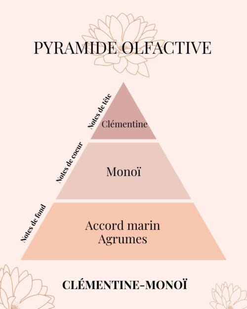 Pyramide Olfactive Clémentine-Monoï - parfums d'intérieur - Niõ