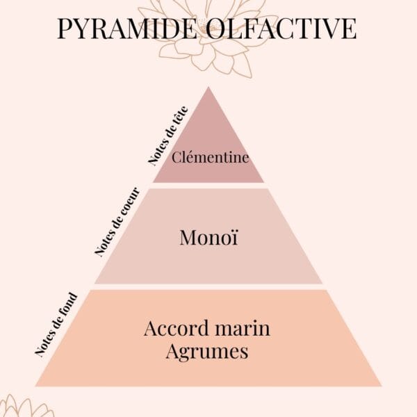 Pyramide Olfactive Clémentine-Monoï - parfums d'intérieur - Niõ