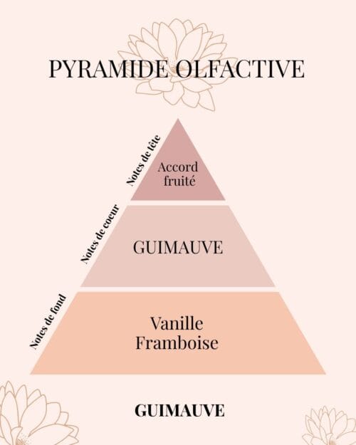 Pyramide Olfactive Guimauve - parfums d'intérieur - Niõ