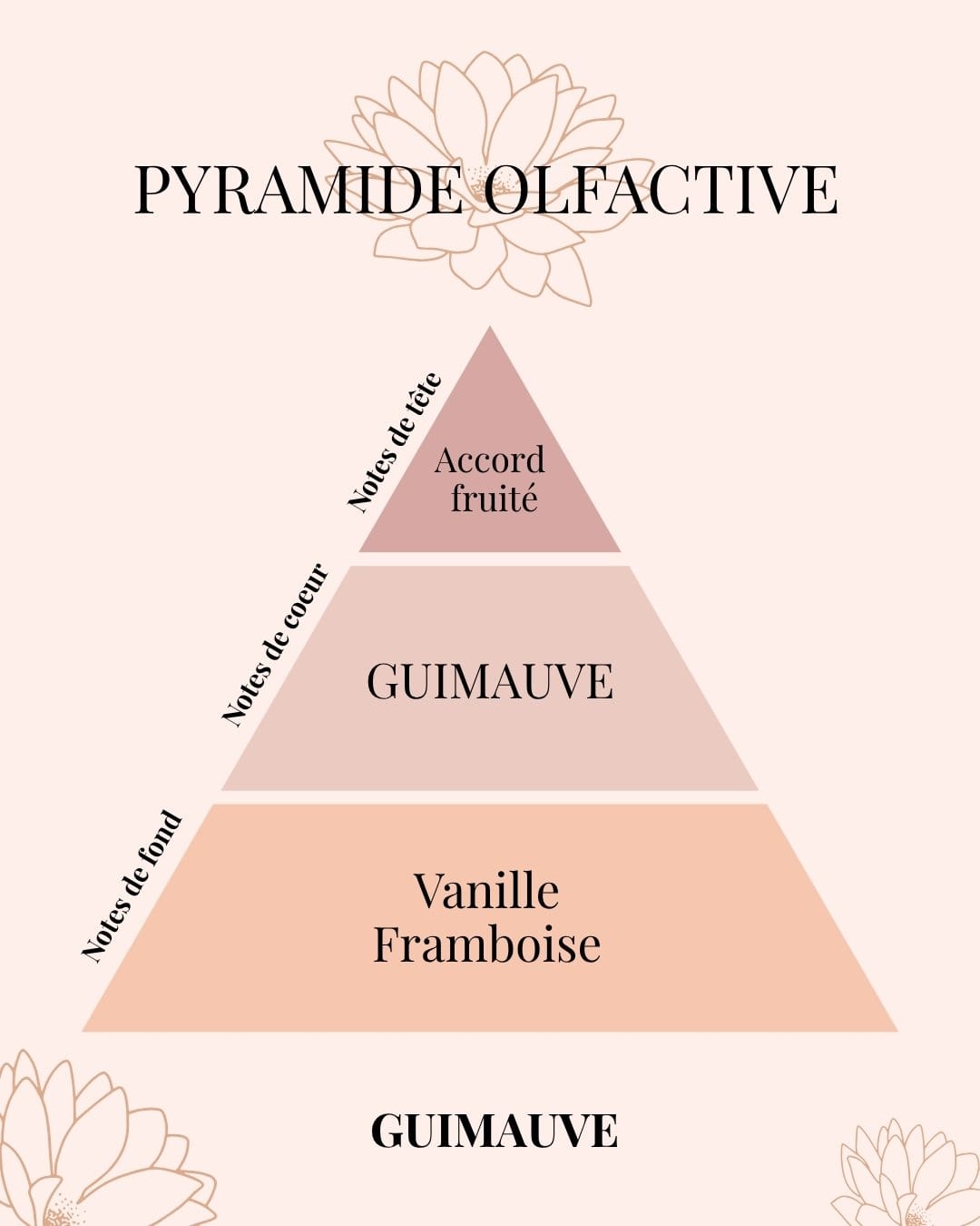 Pyramide Olfactive Guimauve - parfums d'intérieur - Niõ