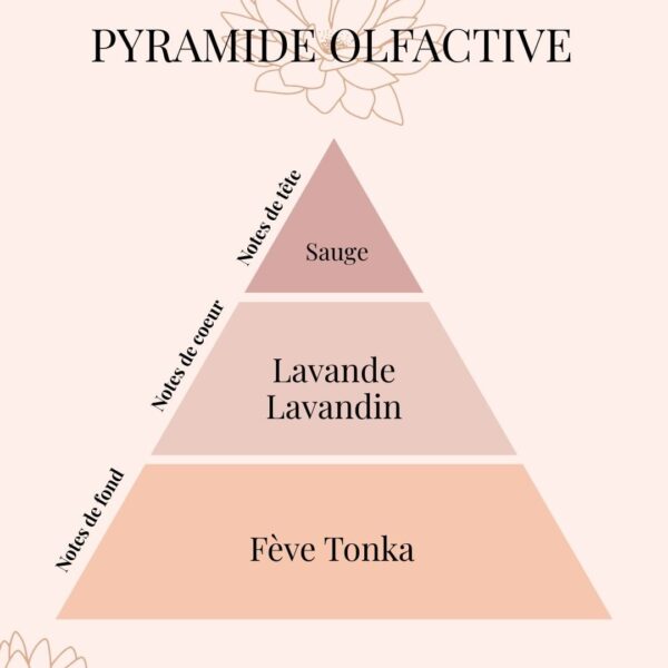 Pyramide Olfactive Herbier Sauvage - Lavande et Sauge - Parfums d'intérieur - Niõ Pyramide Olfactive Herbier Sauvage - Lavande et Sauge - Parfums d'intérieur - Niõ