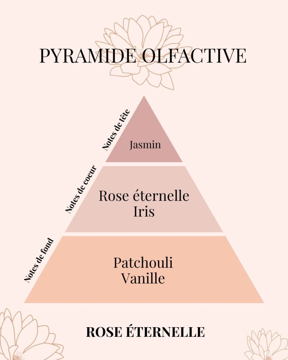 Pyramide Olfactive Rose éternelle - parfums d'intérieur - Niõ
