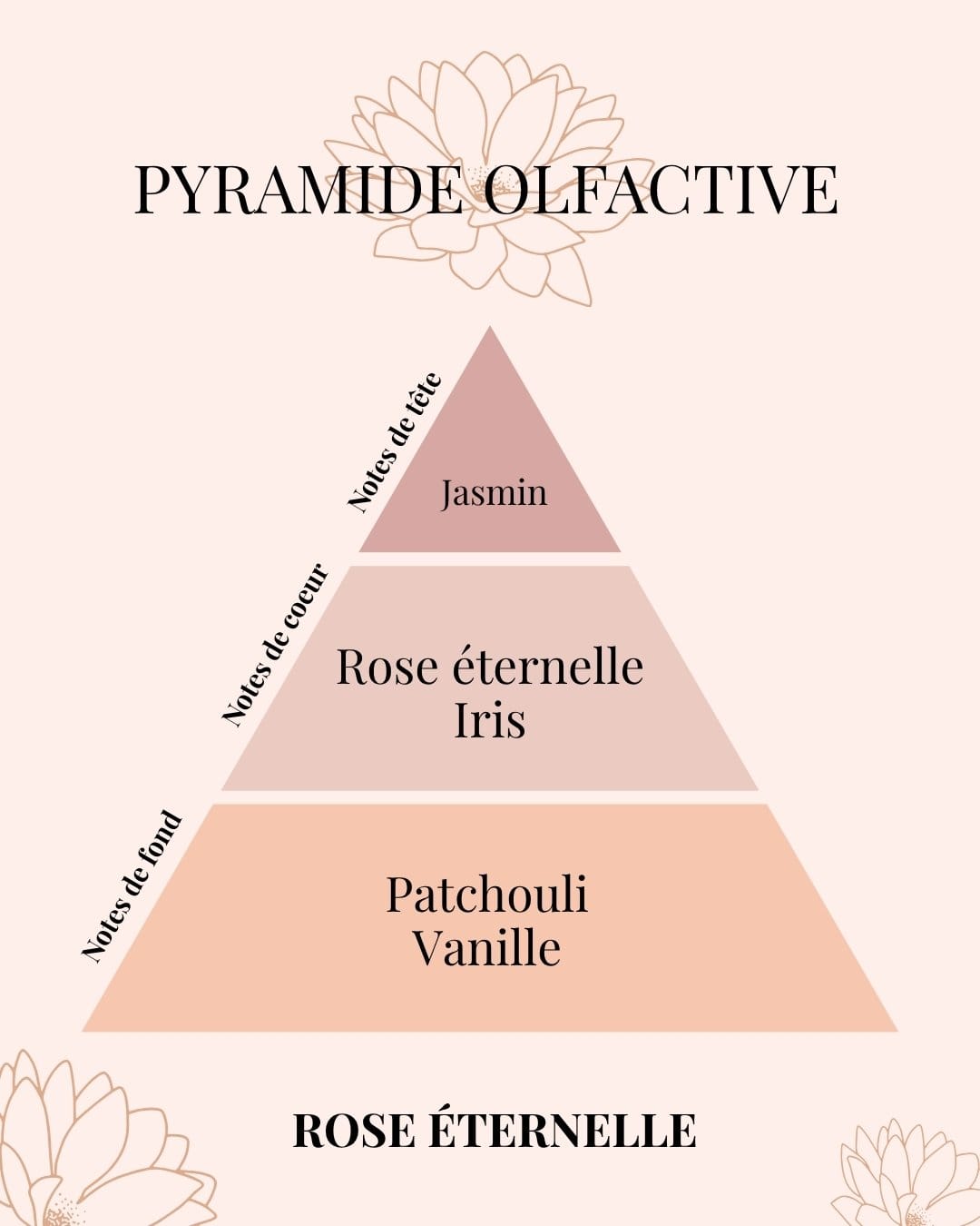 Pyramide Olfactive Rose éternelle - parfums d'intérieur - Niõ