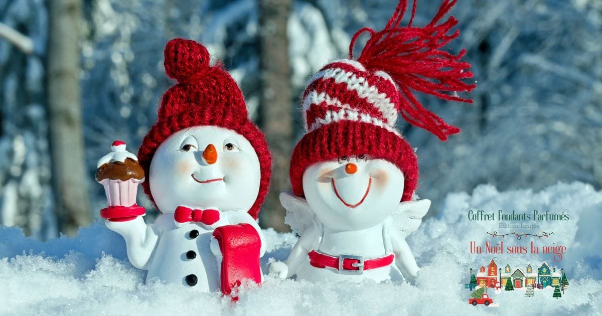 idées de cadeaux de Noël pour son copain - coffre un noel sous la neige