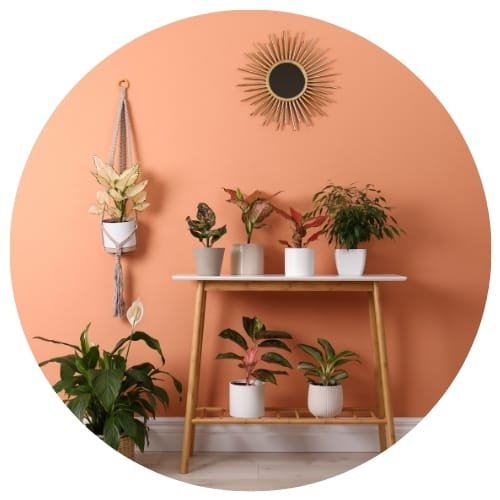 Cache-pots artisanaux pour sublimer le design biophilique