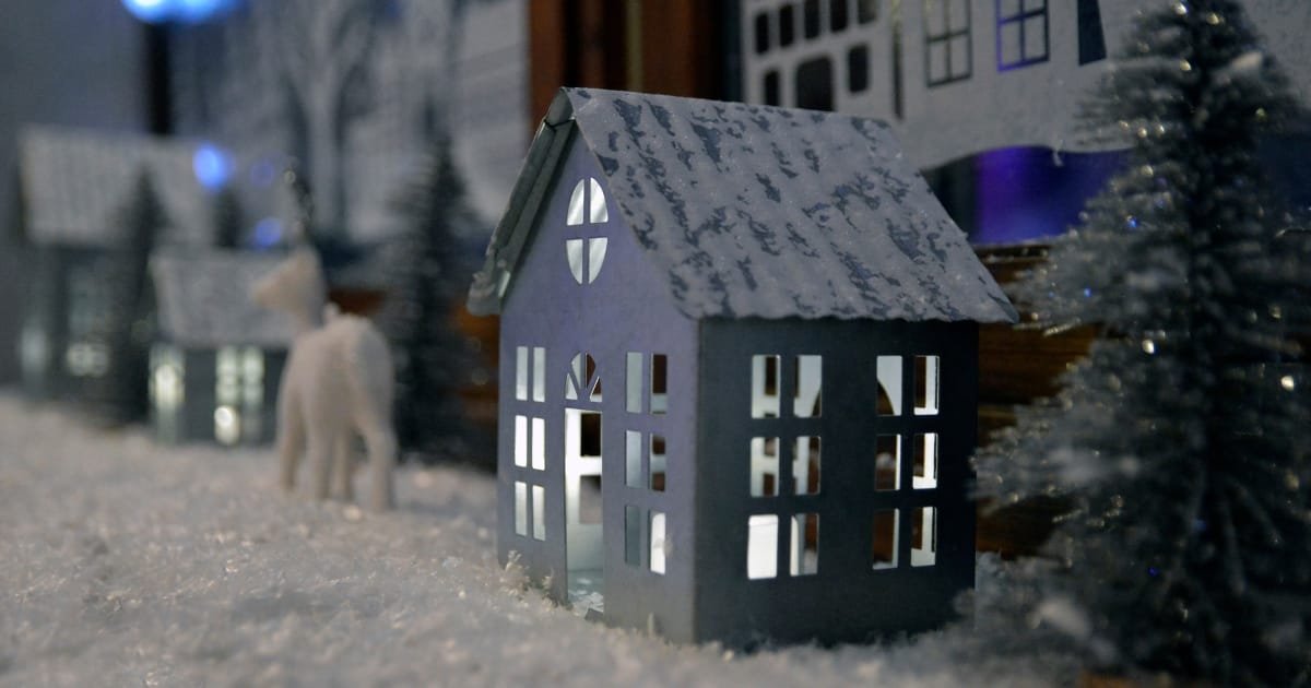 activités à faire en hiver - paysages enneigés