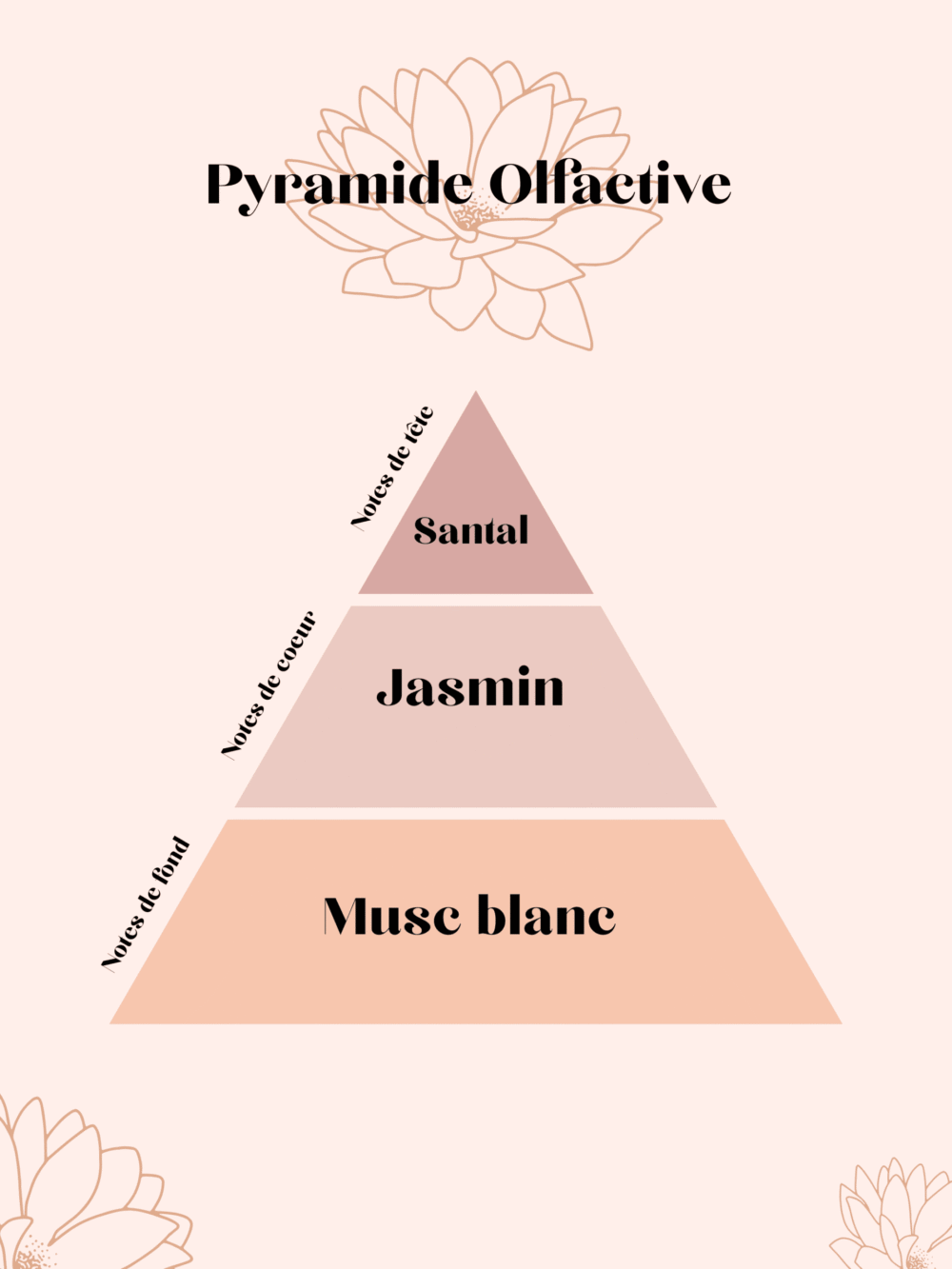 pyramide olfactive bois de santal