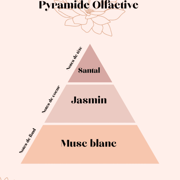pyramide olfactive bois de santal