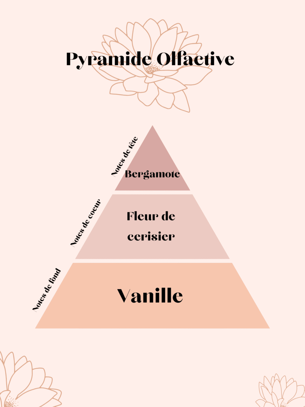 pyramide olfactive Cerisier