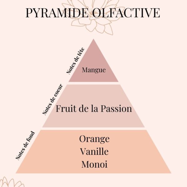 Pyramide Olfactive Paradis Tropical - anti tabac - parfums d'intérieur - Niõ Fondants parfumés Paradis Tropical | Solution naturelle anti-odeurs