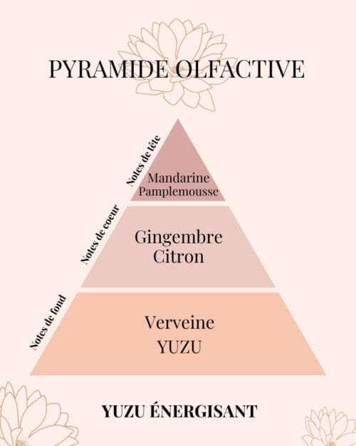 Pyramide Olfactive Yuzu énergisant - parfums d'intérieur - Niõ par N'importe où