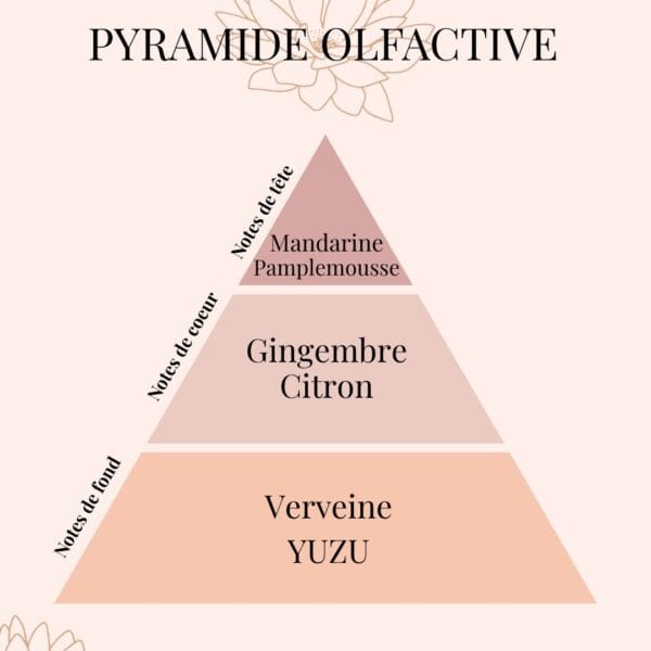 Pyramide Olfactive Yuzu énergisant - parfums d'intérieur - Niõ par N'importe où