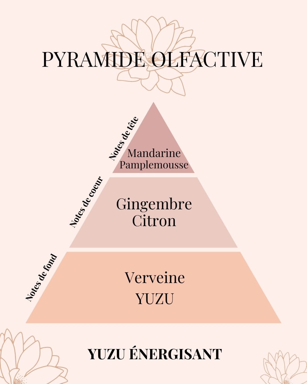 Pyramide Olfactive Yuzu énergisant - parfums d'intérieur - Niõ par N'importe où