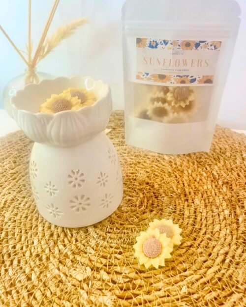 fondants-citronnelle-anti-moustiques-tournesol-30g