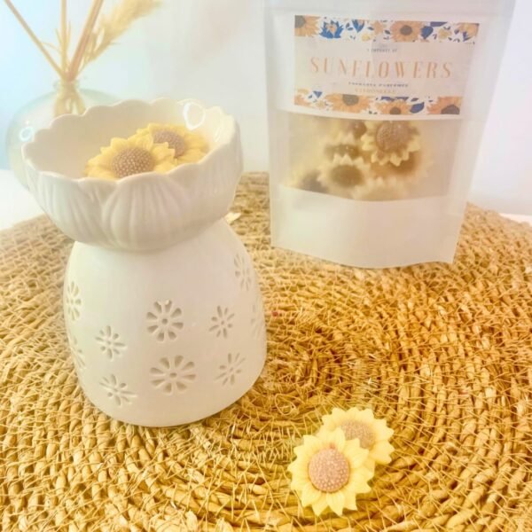 fondants-citronnelle-anti-moustiques-tournesol-30g