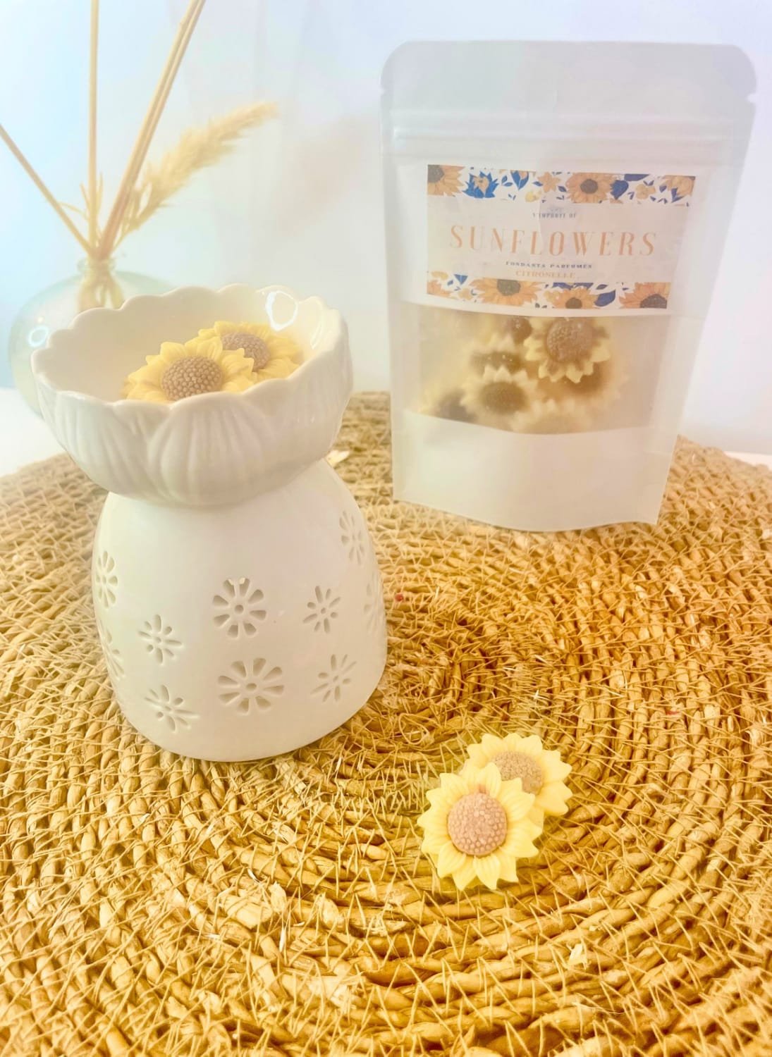 fondants-citronnelle-anti-moustiques-tournesol-30g