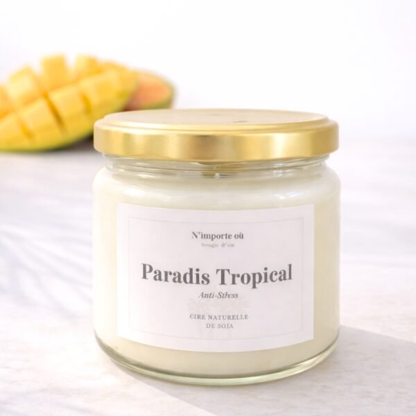 bougie paradis tropical parfum fruité cire vegetale collection boheme