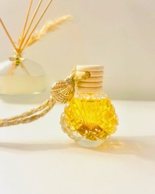 Diffuseur pour voiture - Souvenir de plage - Parfum de voiture - efficace et longue durée - Nio