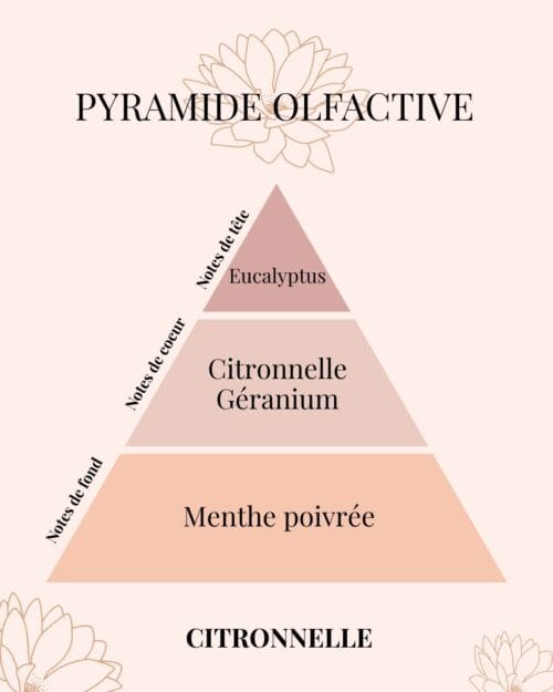 Pyramide Olfactive Citronnelle anti moustique naturel et efficace - parfums d'intérieur - Niõ par N'importe où
