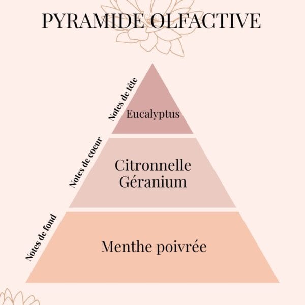 Pyramide Olfactive Citronnelle anti moustique naturel et efficace - parfums d'intérieur - Niõ par N'importe où
