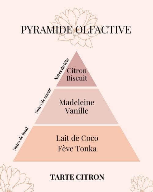 Pyramide Olfactive Tarte Citron - parfums d'intérieur - Niõ par N'importe où
