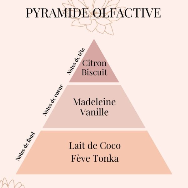 Pyramide Olfactive Tarte Citron - parfums d'intérieur - Niõ par N'importe où Pyramide Olfactive Tarte Citron - parfums d'intérieur - Niõ par N'importe où