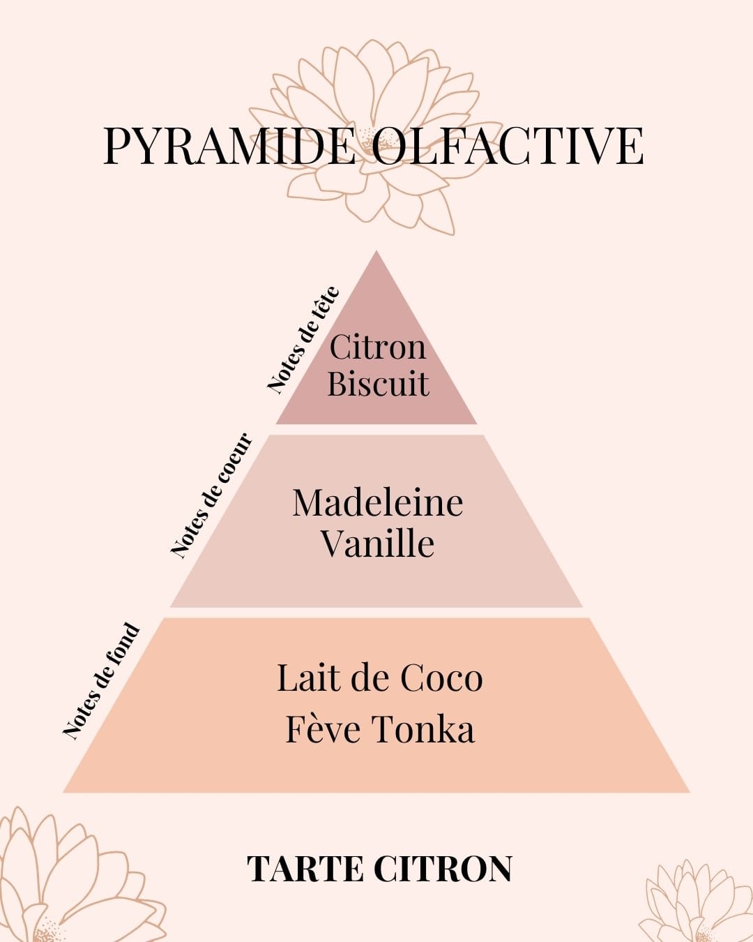 Pyramide Olfactive Tarte Citron - parfums d'intérieur - Niõ par N'importe où