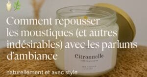 comment repousser les moustiques avec les parfums d'ambiance