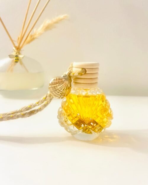 diffuseur parfum voiture souvenir de plage - Tiaré & Coco