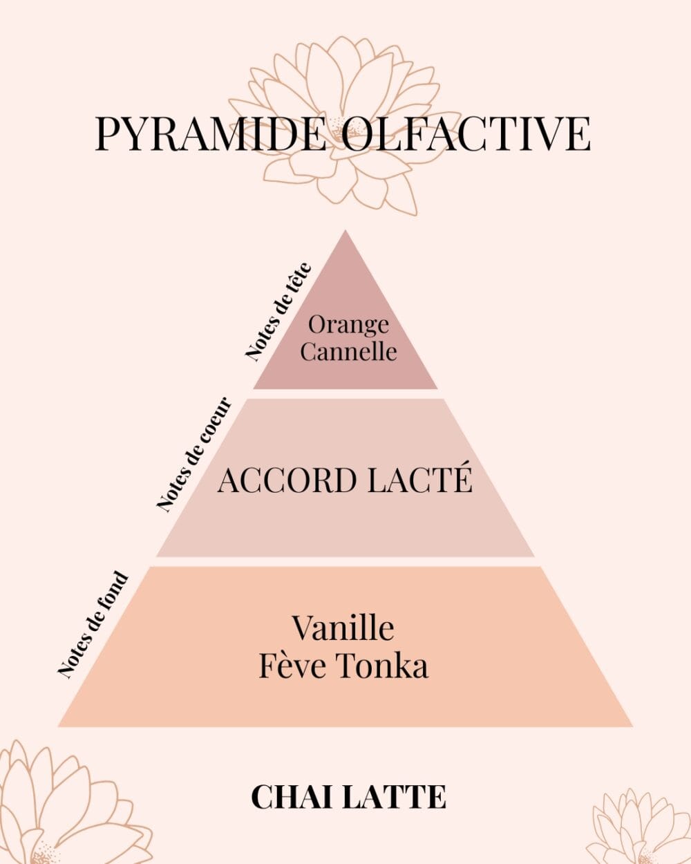 Fondants parfumés Chai Latte | Une évasion sensorielle