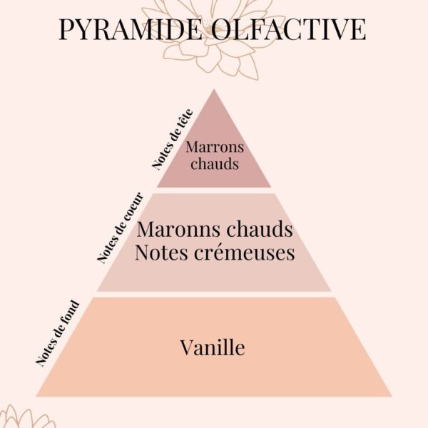 Pyramide Olfactive Marrons chauds - parfums d'intérieur - Niõ Bougie Citrouille D’automne - Parfum Marrons Chauds