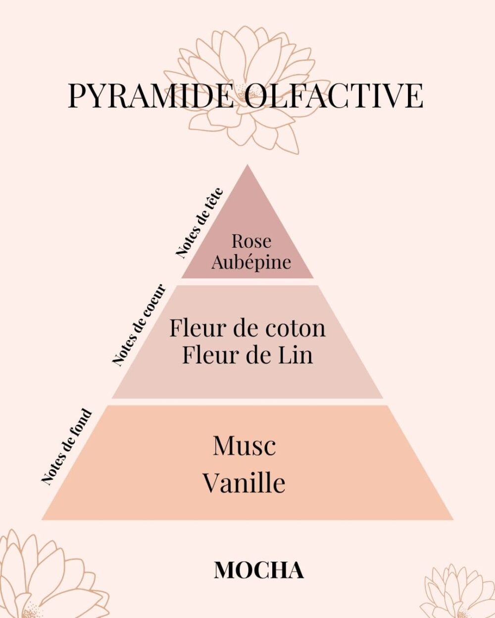 Pyramide Olfactive bouquet parfumé MOCHA - parfums d'intérieur - Niõ Pyramide Olfactive bouquet parfumé MOCHA - parfums d'intérieur - Niõ