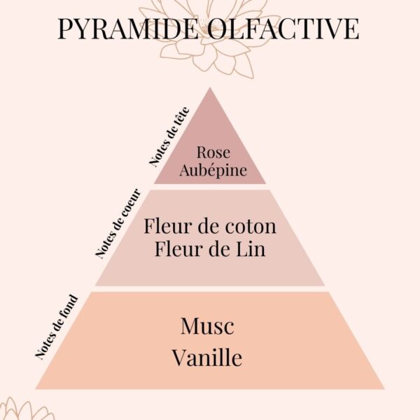 Pyramide Olfactive bouquet parfumé MOCHA - parfums d'intérieur - Niõ Pyramide Olfactive bouquet parfumé MOCHA - parfums d'intérieur - Niõ