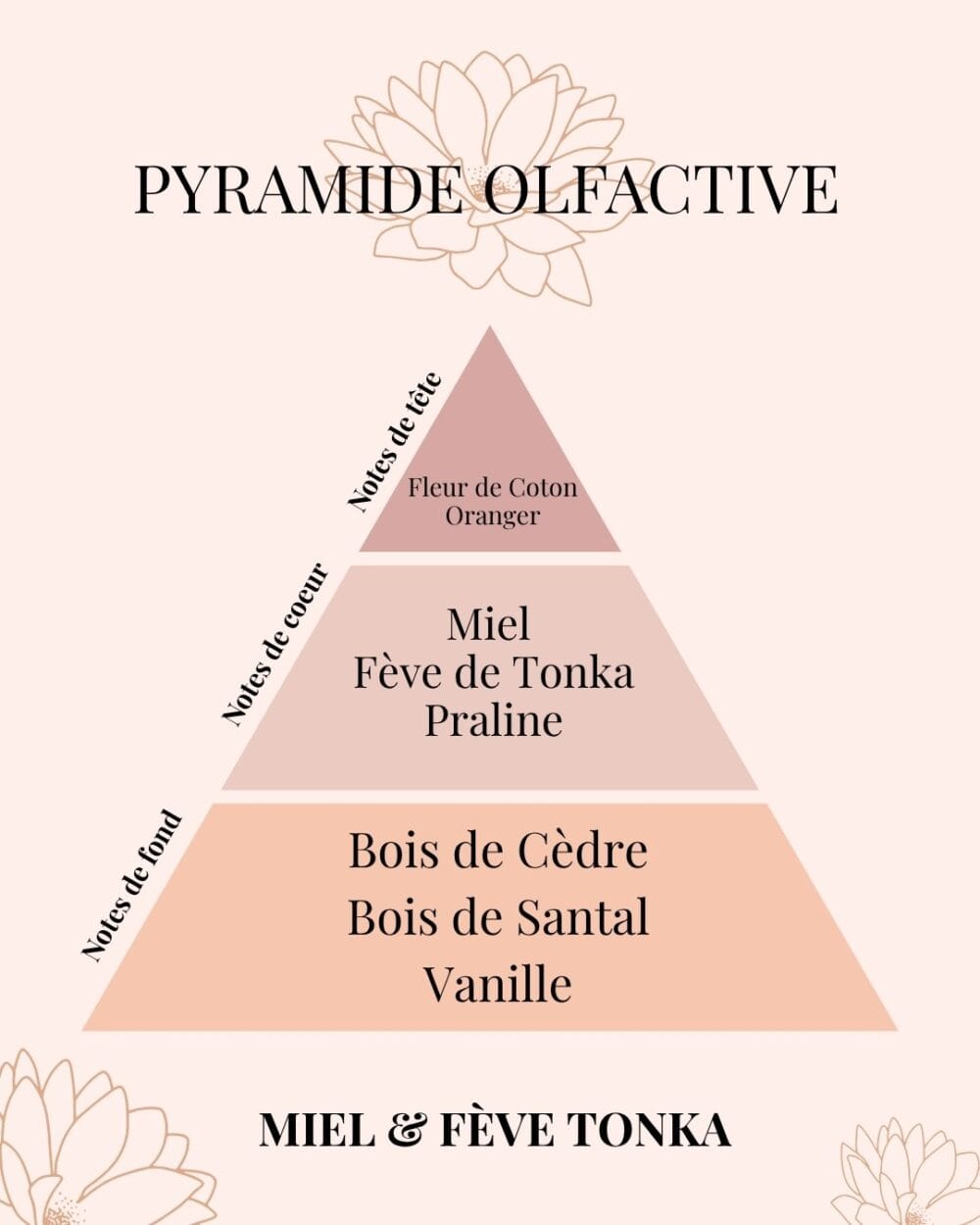 Bougie parfumée Miel & Fève Tonka – 5 rue de l'Abeille | Collection Signature
