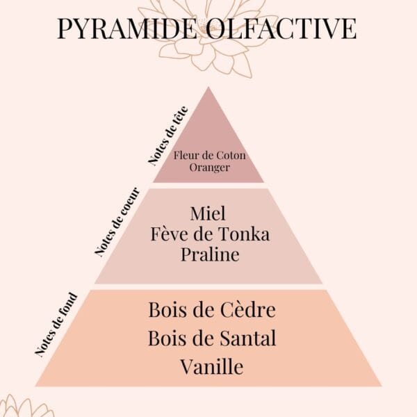 Bougie parfumée Miel & Fève Tonka – 5 rue de l'Abeille | Collection Signature