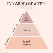 Pyramide Olfactive fragrance Sapin - parfums d'intérieur - Niõ Pyramide Olfactive fragrance Sapin - parfums d'intérieur - Niõ