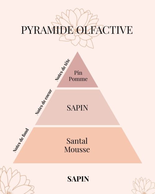 Pyramide Olfactive fragrance Sapin - parfums d'intérieur - Niõ