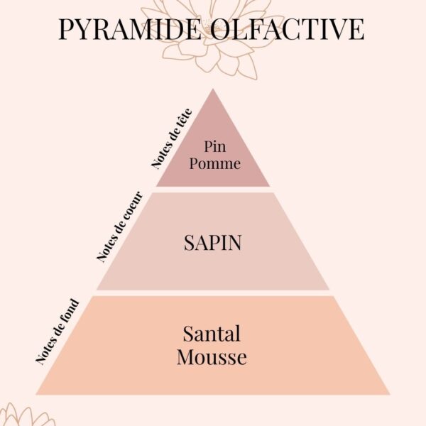 Pyramide Olfactive fragrance Sapin - parfums d'intérieur - Niõ