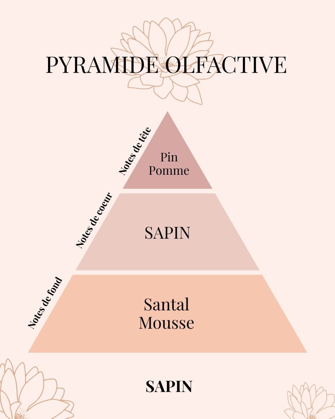 Pyramide Olfactive fragrance Sapin - parfums d'intérieur - Niõ