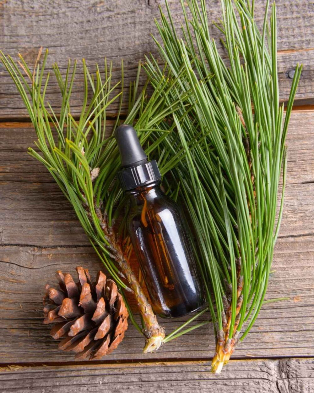 Tablette de fondants parfumés Sapin de Noël | Esprit des fêtes