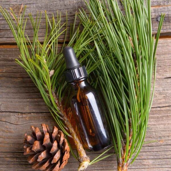 Tablette de fondants parfumés Sapin de Noël | Esprit des fêtes