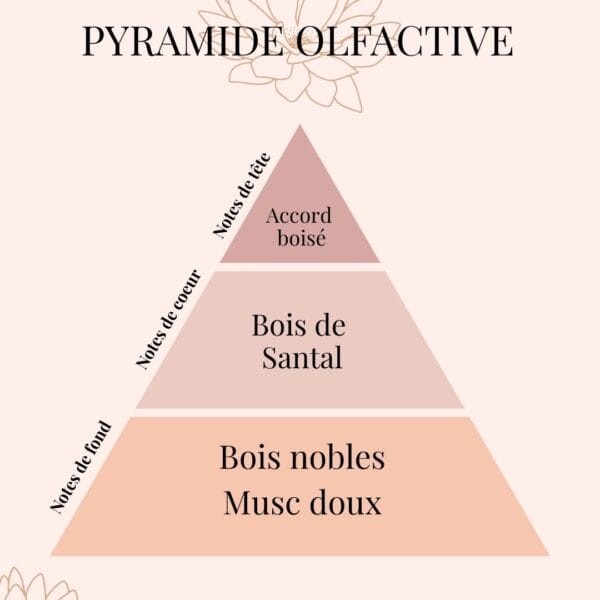 Pyramide Olfactive Bois de Santal - parfums d'intérieur - Nio par N'importe où