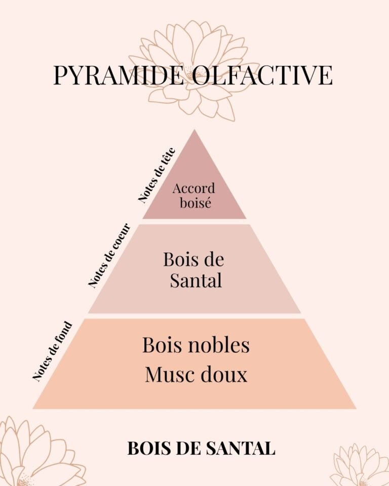 Diffuseur de parfum à bâtonnets Bois de Santal - Hiver à Dublin - Parfum d'ambiance Premium - Niõ