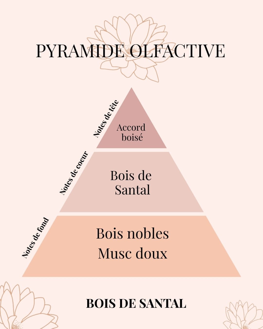 Pyramide Olfactive Bois de Santal - parfums d'intérieur - Nio par N'importe où