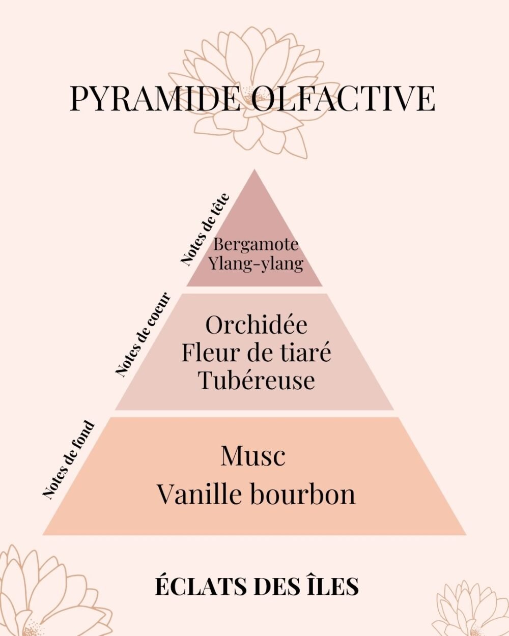 NUDE - Bouquet parfumé éternel en fleurs de cire | Eclats des îles